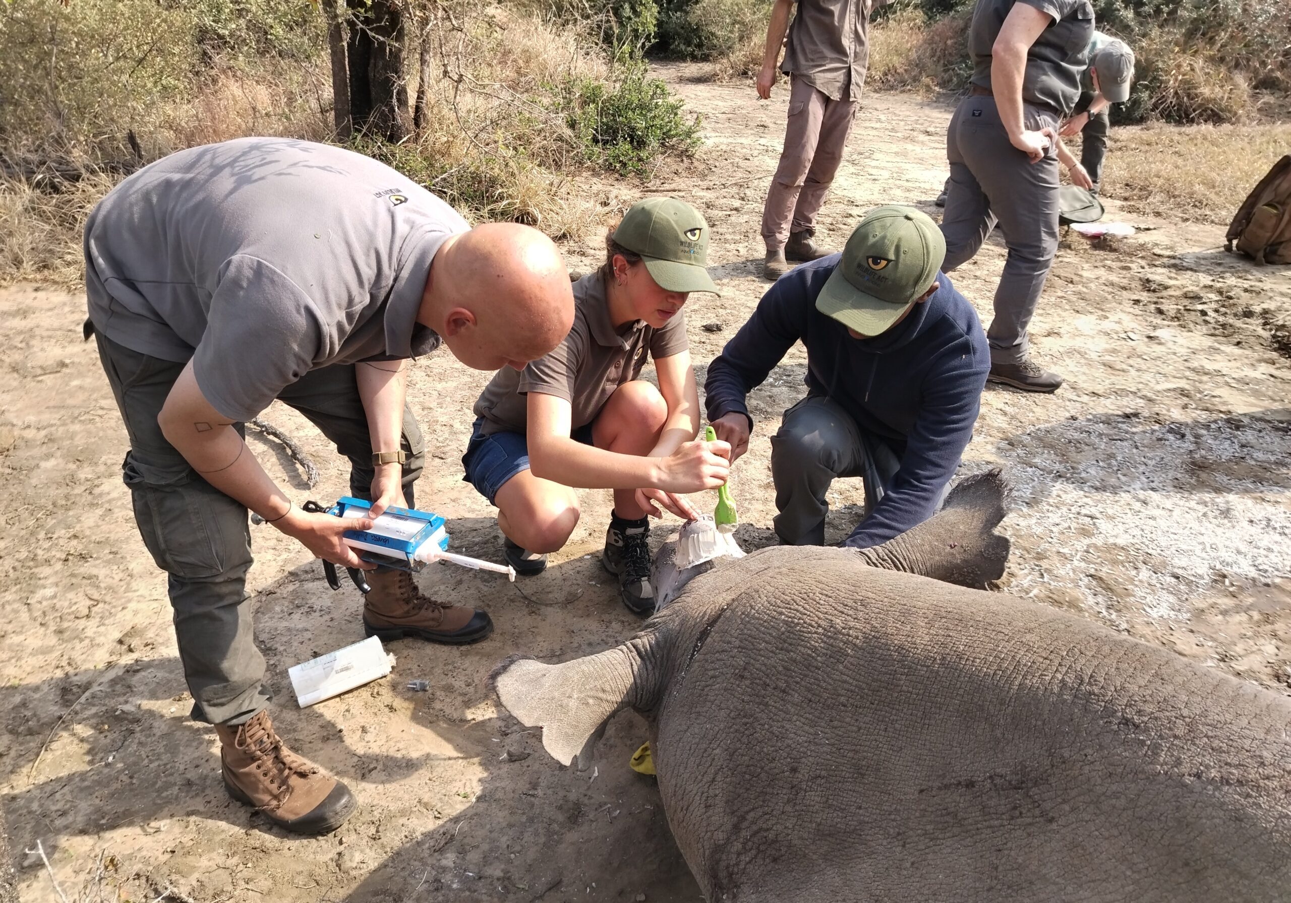 Rhino Pod Deployment, 2026, Photography credited to Wildlife ACT Innovations Pty Ltd.
